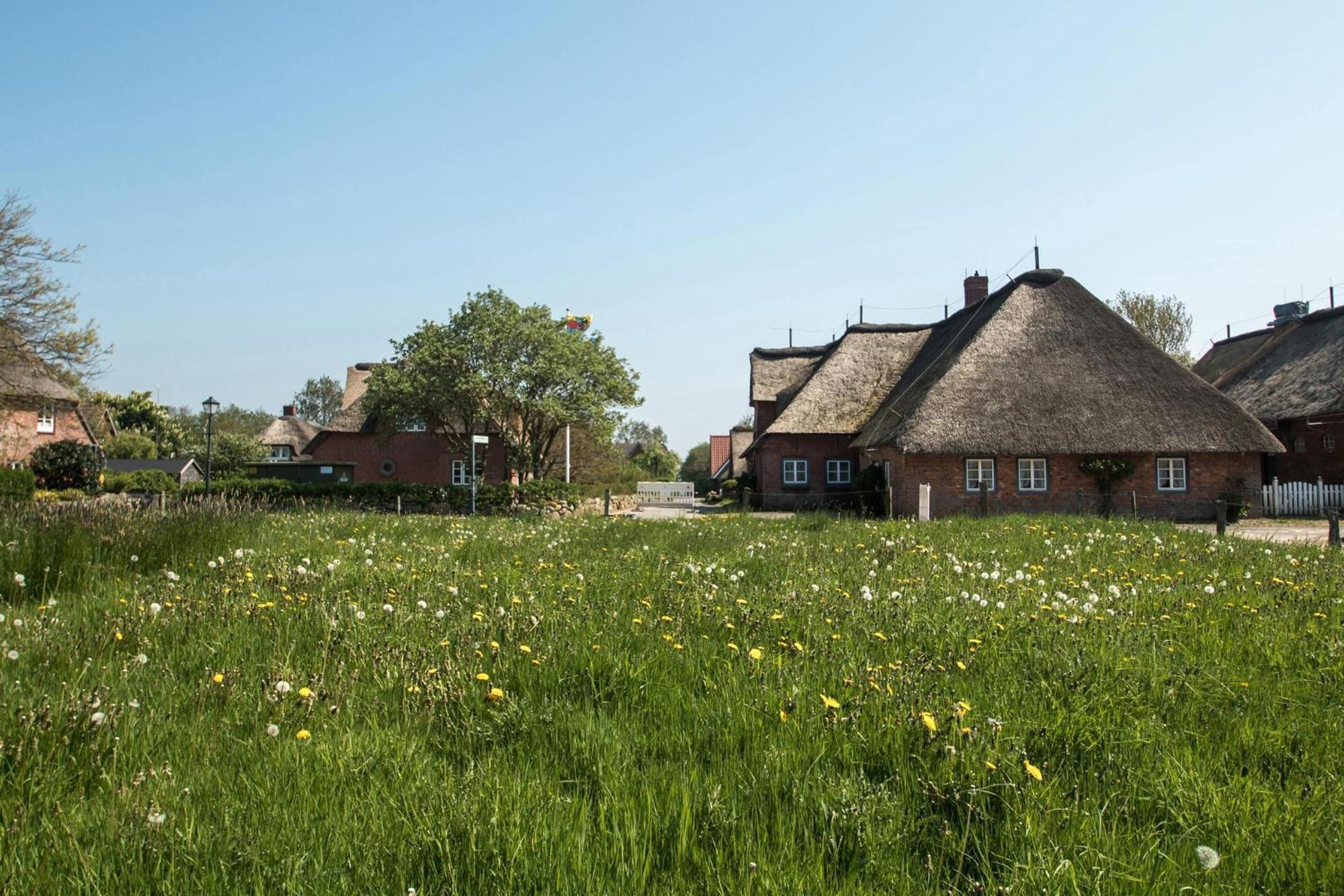 Reethus Gluecklicher Matthias Hausteil Waasterlun Oldsum Exterior foto